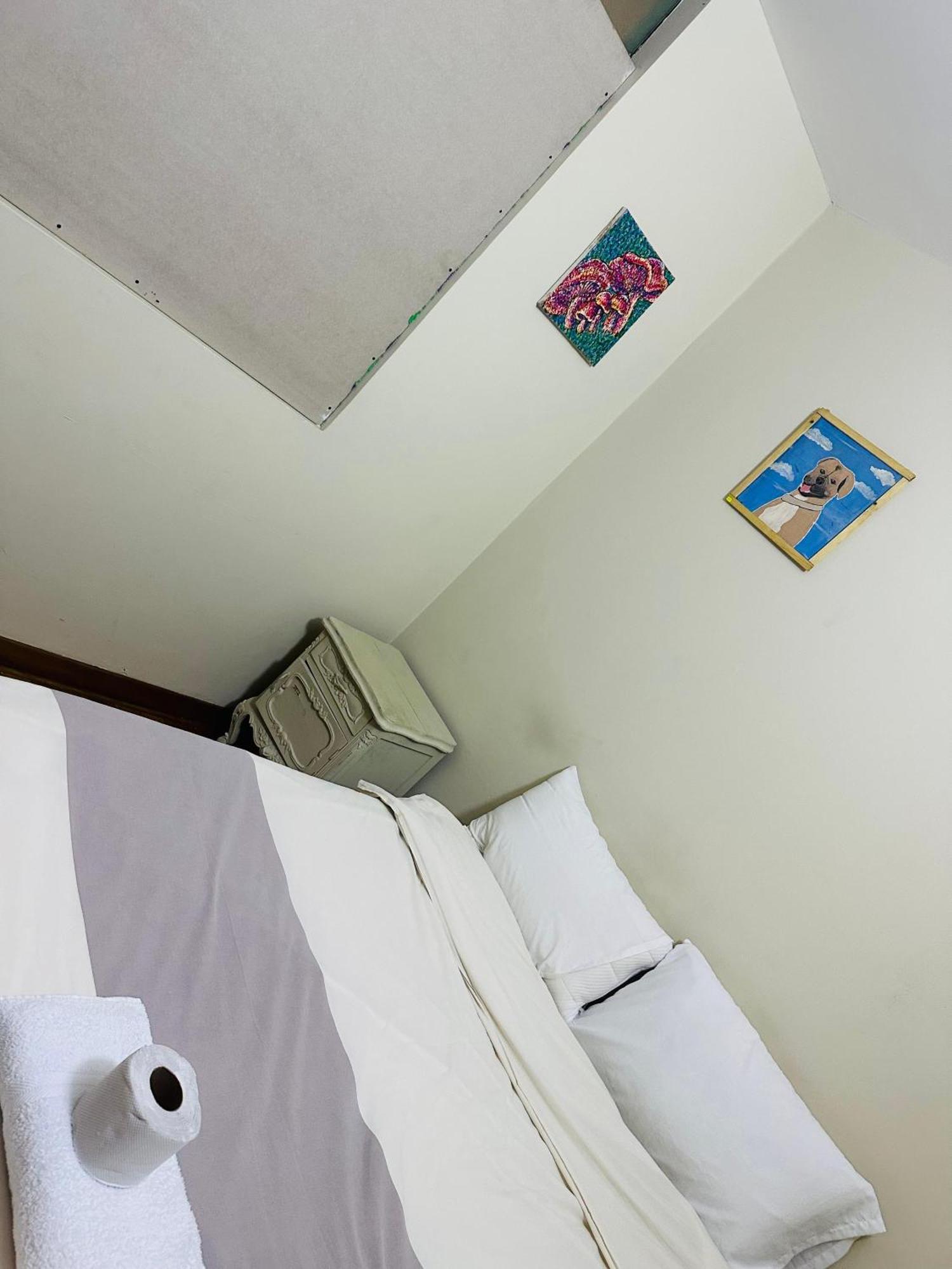לימה Hostel Colores Miraflores מראה חיצוני תמונה